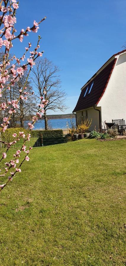 Villa Seeschwalbe Plau Plau am See Exterior foto